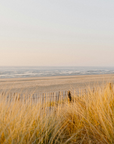 MIGLOT Brise d’été Édition Mer du Nord
