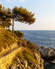 MIGLOT Eau Fraîche Édition Cap Ferrat