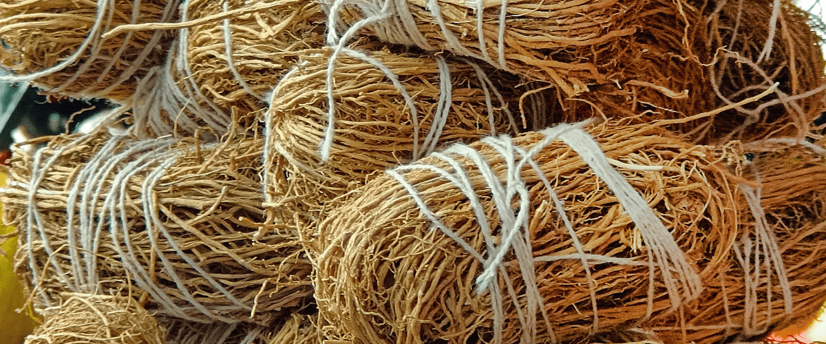 Cederhout en Vetiver. Parfumingrediënten met een duurzaam geurtje aan.