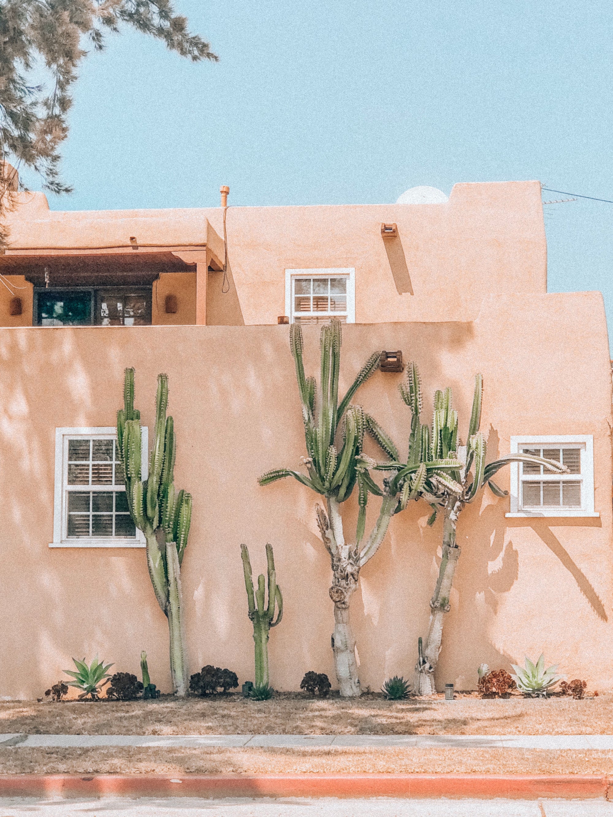 Exotische vakantievilla omringd door cactussen